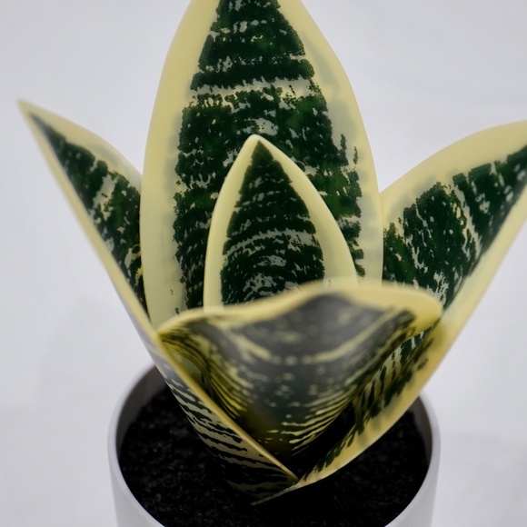 1 PC Fake Snake Plant In Pot Artificial Faux Plant - Picture 6 of 8